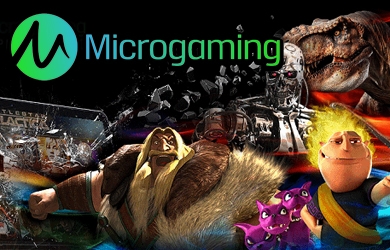 MICRO GAMING